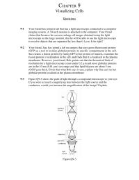 Biology & Life Sciences Chapter 9 Signal Set Filter Passes Wavelengths Between