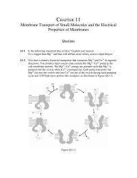 Biology & Life Sciences Chapter 11 Receiving Different Types Channels Are Required