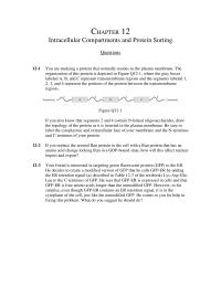 Biology & Life Sciences Chapter 12 From Your Understanding Transport The Thylakoid Space
