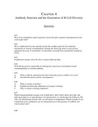 Chapter 4 Which immunoglobulin isotypes
