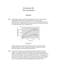 Biology & Life Sciences Chapter 16 Now Known That Wasp Proteins