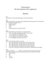 Chapter 6 Somatic Hypermutation Decrease Production Continued Rearrangement