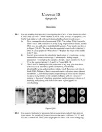 Biology & Life Sciences Chapter 18 The Likely Identities Samples And Are And