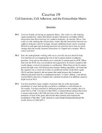 Biology & Life Sciences Chapter 19 Taxol Does Not Alter The Orientation The