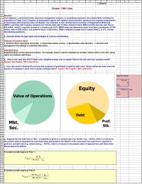 Finance Chapter 7 Homework a mid-sized human resources management company