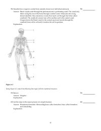 Chapter 6 2 The Appearance This Structure Epiphyseal Line