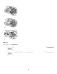 Chapter 19 2 the mesenteric veins merge into the hepatic portal vein before
