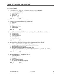 Chapter 10 DNA Found Principally The Nucleus But Also