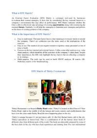 What Is Efe Matrix?