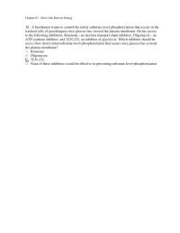 Chapter 7 Why The Energy Generated From The