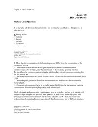 Chapter 10 Bacterial Cell Division The Cell Divides Into