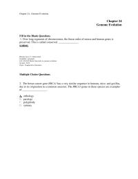 Chapter 24 The Breast Cancer Gene Brca1 Has Very