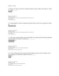 Chapter 32 The Fungal Group That Most Closely