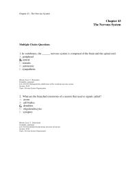 Chapter 43 Vertebrates The Nervous System Composed The