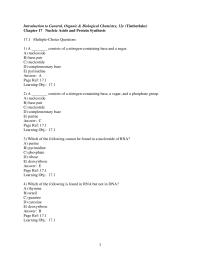 Chapter 17 Which of the following is a section of mRNA produced