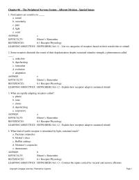 Chapter 6 State The Significance Thalamus And Visual Cortex