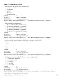Chapter 13 What nerve innervates the diaphragm?