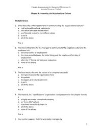 Chapter 04 Your Author Suggests That Cultural Statements Should