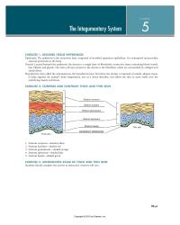 Physics Chapter 5 Microscopic Examination Reveals Long Thin Organism Living