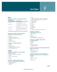 Physics Chapter 9 Lacrimal Puncta Openings The Nasolacrimal Ducts That
