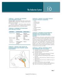 Physics Chapter 10 Inhibits The Release Insulin And Glucagon Secreted