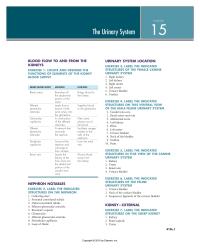 Physics Chapter 15 Hilus The Kidney Indented Area The Medial