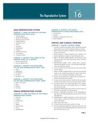 Physics Chapter 16 What Refer The Reproductive System Individual&nbsp;