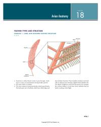 Physics Chapter 18 The Term Often Used Describe These Conditions