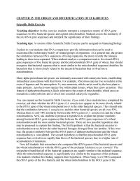 Biology & Life Sciences Chapter 25 The Gray Cells The Bottom Left Half