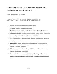 Biology & Life Sciences Chapter 5 Homework Exercise Bone Features 15 Minutes For This