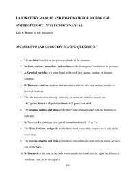 Biology & Life Sciences Chapter 6 Homework Part Human Hand Review The Bones The