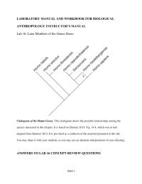 Biology & Life Sciences Chapter 16 Homework Homo Sapiens Fossil Based This Information Which