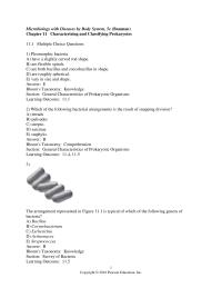 Biology & Life Sciences Chapter 11 Which of the following bacterial arrangements is the result