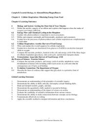 Biology & Life Sciences Chapter 06 Energy Flow and Chemical Cycling in the Biosphere