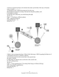 Biology & Life Sciences Chapter 07 the molecule that makes up the bulk of the mass of&nbsp;