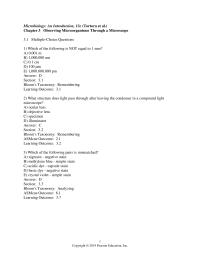 Biology & Life Sciences Chapter 3 What structure does light pass through after leaving