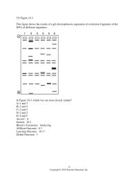 Biology & Life Sciences Chapter 10 Into which group would you place a photosynthetic