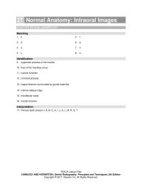 Dentistry Chapter 27 Interpretation 17 Primary Teeth Present Teach Lesson