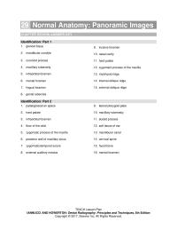Dentistry Chapter 29 Normal Anatomy Panoramic Images Review Answer