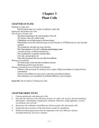 Chapter 3 What Their Function The Cell Wall Provides