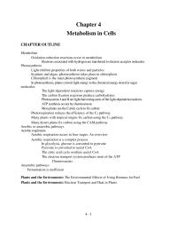 Chapter 4 Where Does Come From The Calvin Cycle
