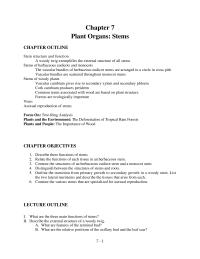 Chapter 7 How Does Gas Exchange Occur Through The