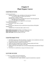 Chapter 8 What Changes Are Usually Associated With Leaf