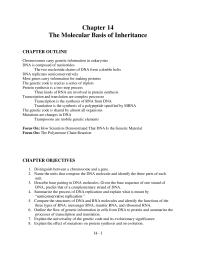 Chapter 14 Where Found What Does Trna Do Where