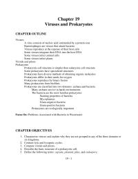 Chapter 19 Archaebacteria What Are The True Bacteria Where