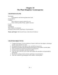 Chapter 24 Some Conifers Such Yew And Juniper Not