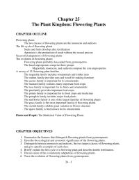 Chapter 25 What Are The Basal Angiosperms And What