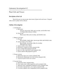 Chapter 2 What The Main Compound Found The Cell