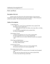 Chapter 5 What Meristem Give The Two Main Functions