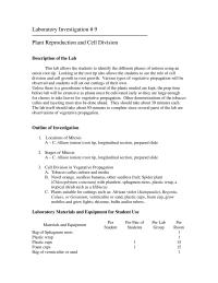 Chapter 9 Score Onion Bulb The Side With Knife